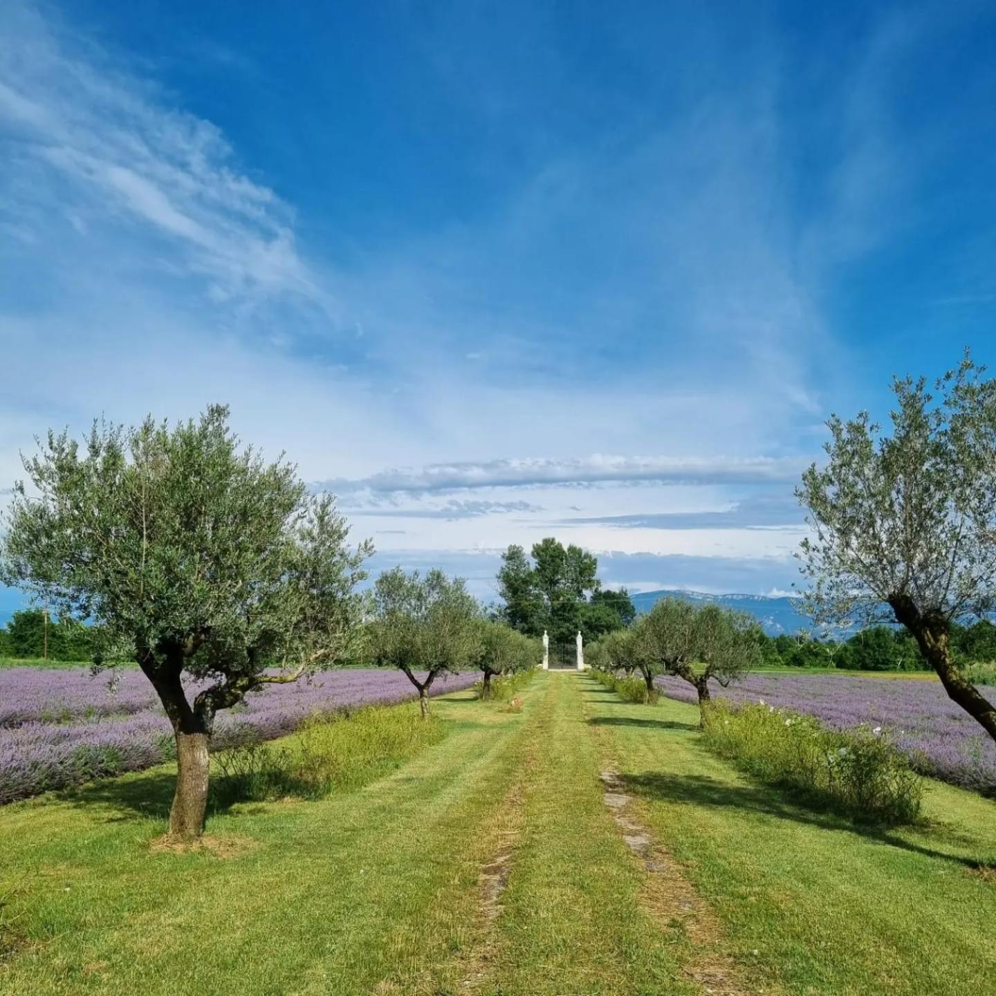 Domaine Des Balmes Villa Romans-sur-Isere Exterior photo